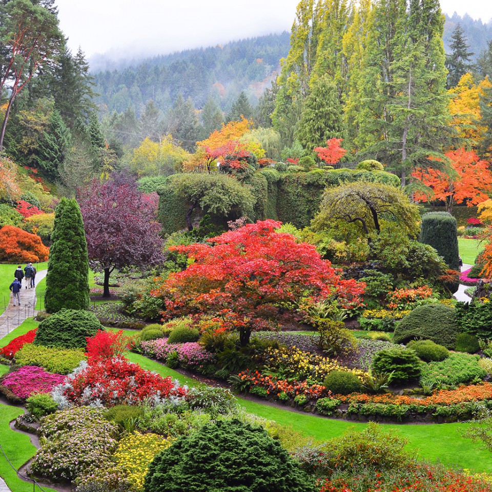 The Butchart  Gardens  Victoria Canada Sunken Garden 