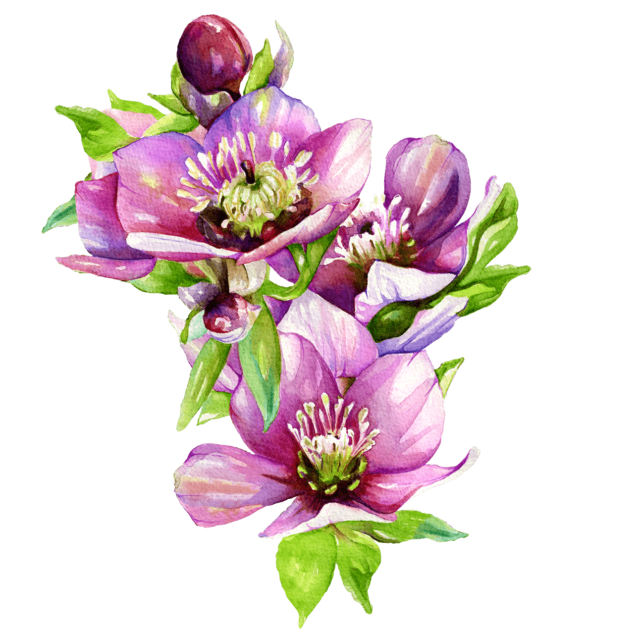 The Butchart  Gardens  Victoria Canada Sunken Garden 