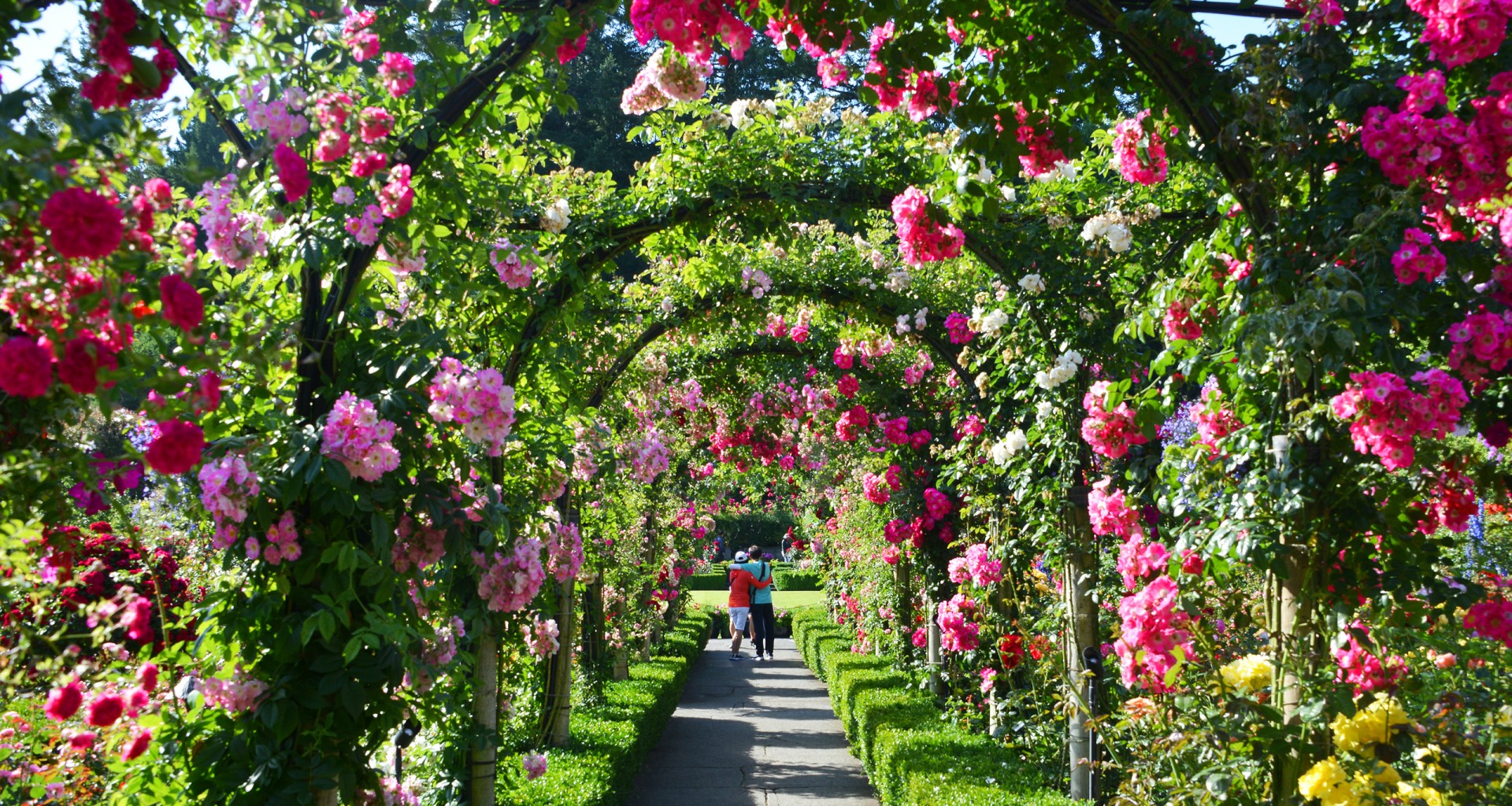 4+ Hours Visit Itinerary - The Butchart Gardens