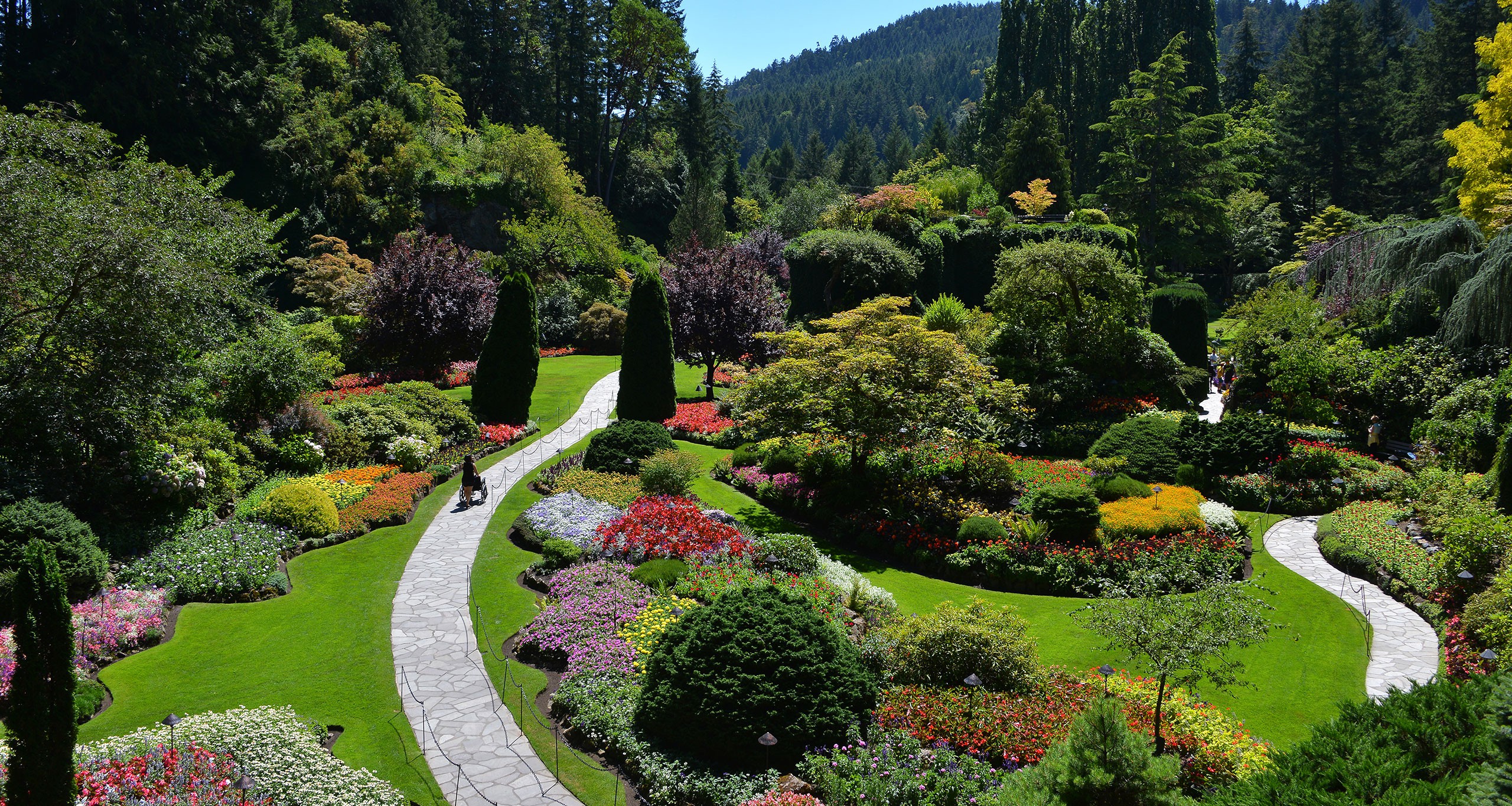 The Butchart  Gardens  Over 100 Years in Bloom Victoria 