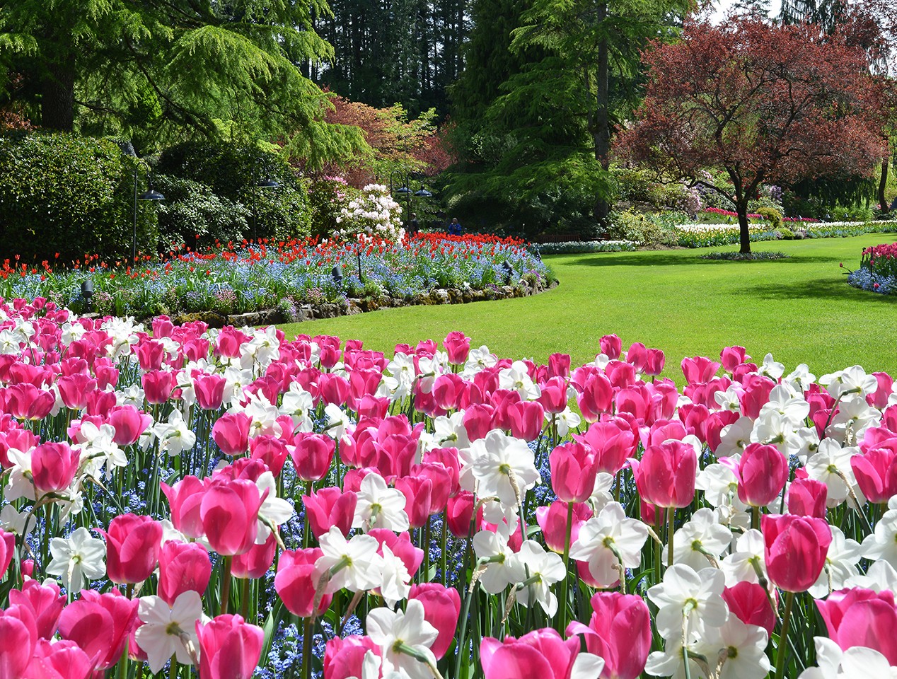 The Butchart  Gardens  Victoria Canada Sunken Garden 